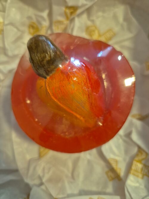 MSV 005 - KIT CAJU IMPERIAL - Imagem 4