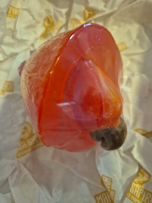 MSV 005 - KIT CAJU IMPERIAL - Imagem 6