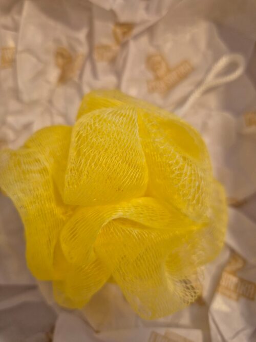 MSV 005 - KIT CAJU IMPERIAL - Imagem 7