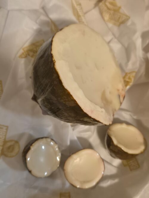 MSV 006 - KIT PARAÍSO DE COCO - Imagem 4