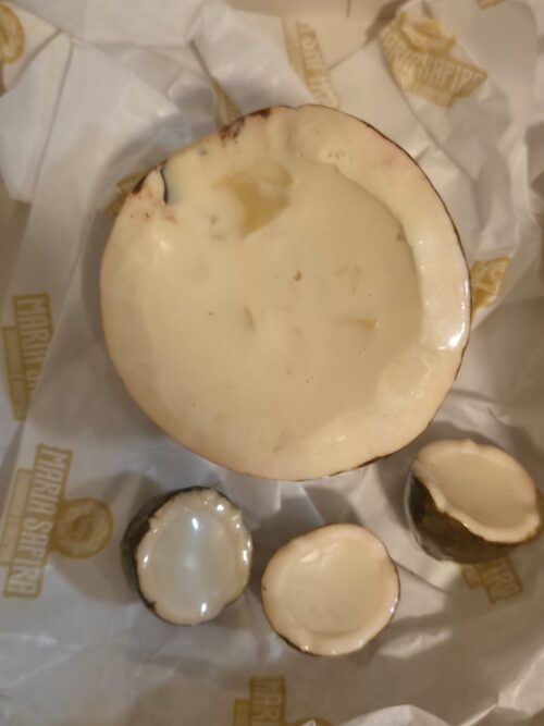 MSV 006 - KIT PARAÍSO DE COCO - Imagem 5