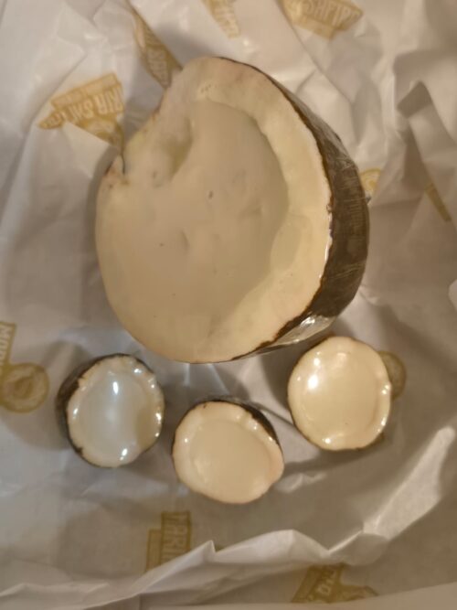 MSV 006 - KIT PARAÍSO DE COCO - Imagem 7